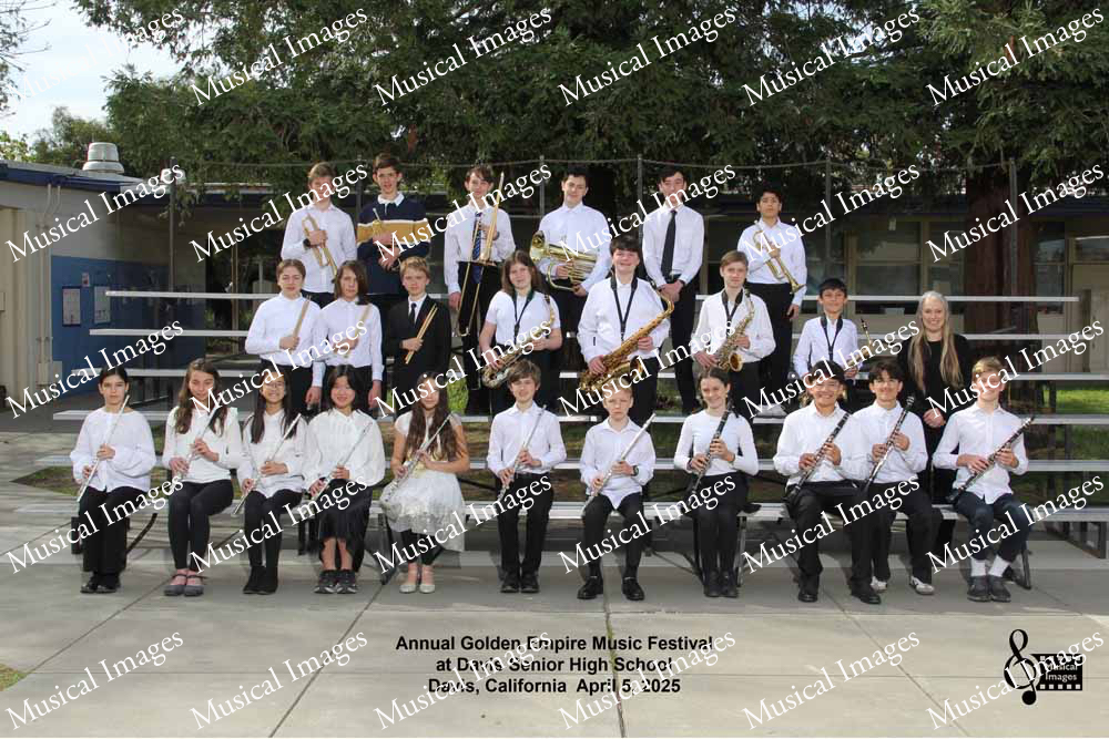 Musical Images